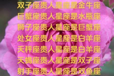 2025年3月30日处女座今日运势第一星座