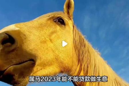 属马2023年开业吉日(2021年属马开业大吉日)