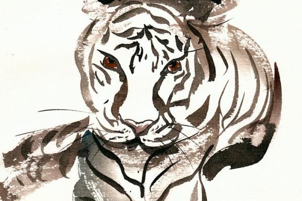 如见肺肝打一生肖(如见肺肝打一动物)