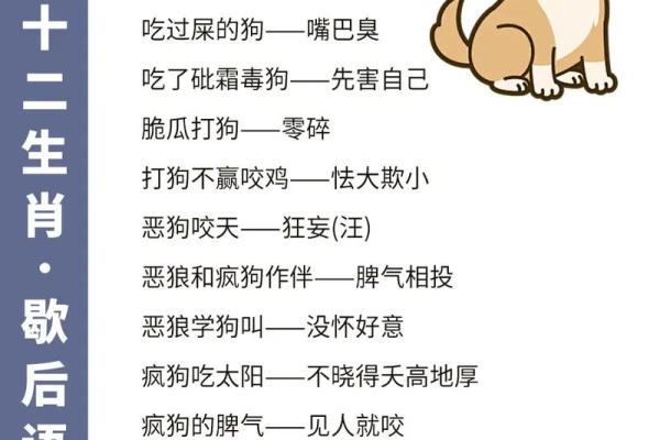 一夫当关开过什么生肖(一夫当关形容什么生肖动物)
