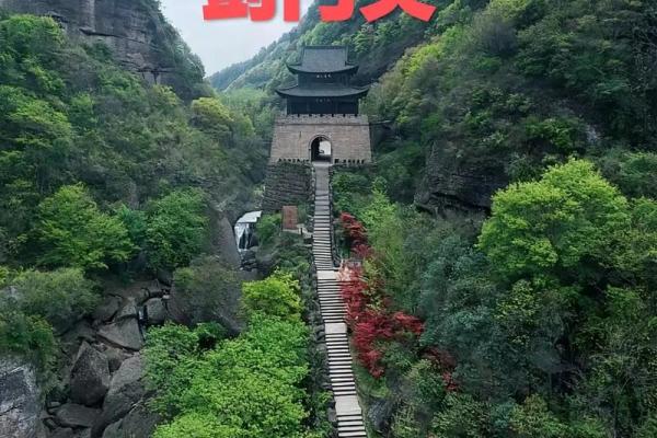 一夫当关开过什么生肖(一夫当关形容什么生肖动物)