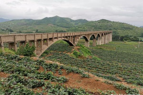 风餐露宿打一生肖(风餐露宿打个生肖) 风餐露宿打一生肖(风餐露宿打个生肖)