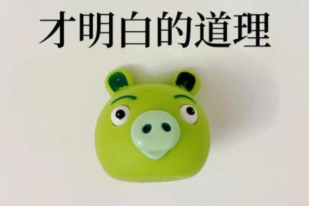 不撞南墙打一生肖(不撞南墙指的是什么生肖)