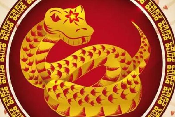 1953年属蛇人的寿命_1953年属蛇人寿命解析出生月份关联健康趋势