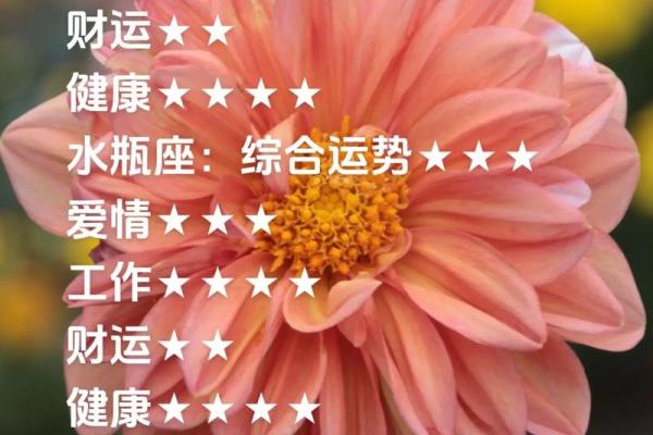 2025年3月30日魔羯今日运势座