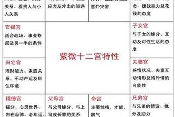 福德宫化忌入子女宫命理解析与运势影响 福德宫化忌入子女宫命理解析与运势影响