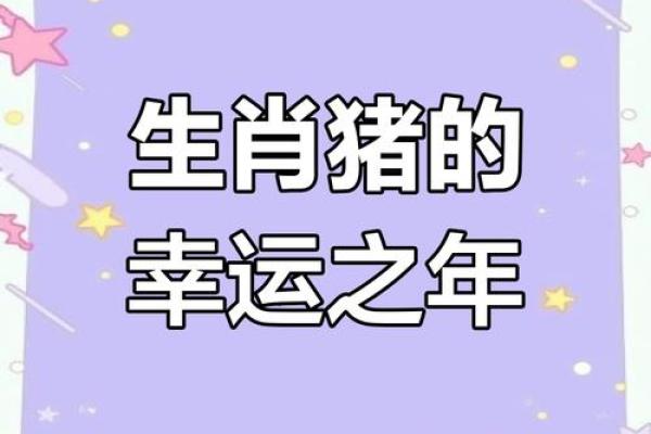 2025年属猪人全年运势详解财运事业感情全面解析 2025年属猪人全年运势详解财运事业感情全面解析