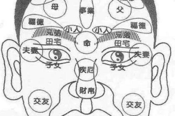 夫妻宫准确位置图_夫妻宫准确位置图揭秘婚姻运势的关键所在
