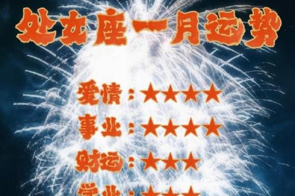 2025年处女座的每月运势_处女座2030年运势