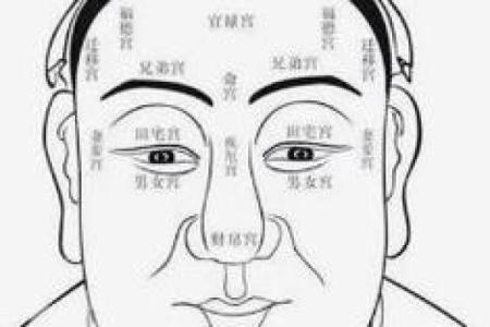 福德宫太阳天梁 福德宫太阳天梁天钺