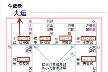 父母宫化忌入疾厄宫_父母宫化忌入疾厄宫命理解析与健康运势影响