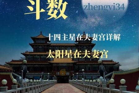 八座入夫妻宫_八座入夫妻宫男命