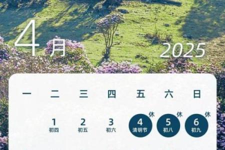2025年农历多少天