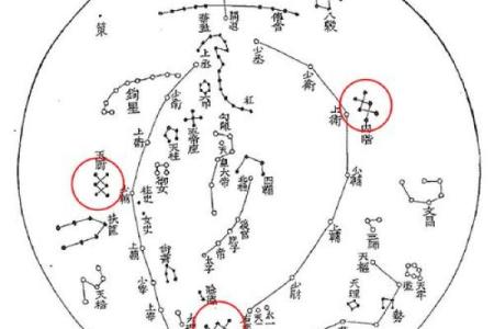 福德宫天厨_福德宫天厨星另一半