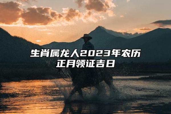 属龙人今年结婚吉日