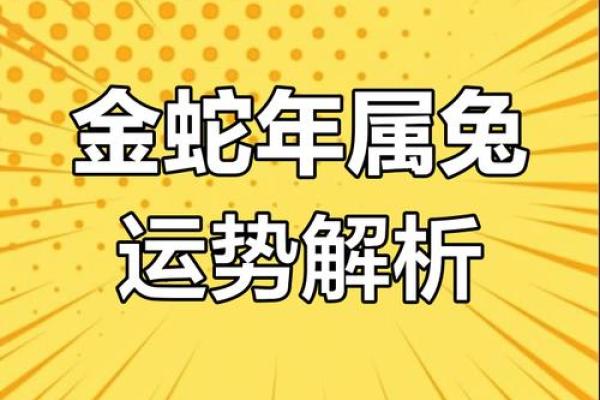 属兔2019年运势