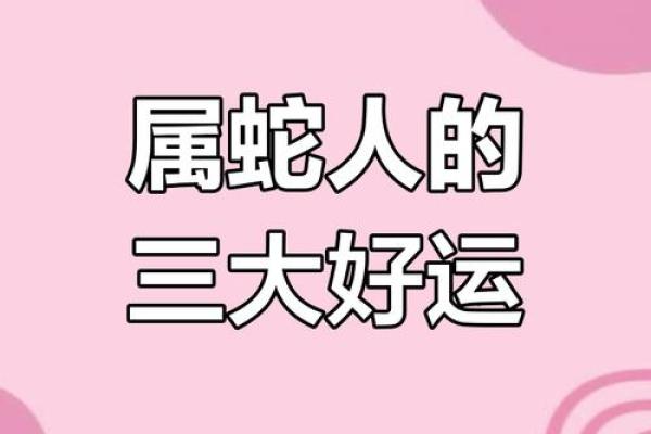 属蛇人2023年运势完整版