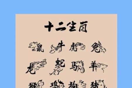 见异思迁比喻什么生肖