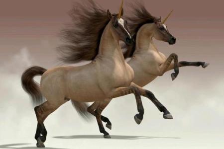 千军万马打一生肖