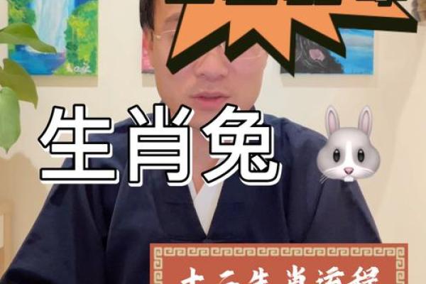 87年属兔2023年本命年运势