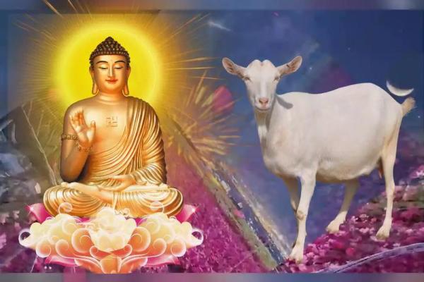 2022年属羊人的全年运势