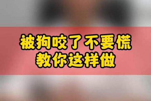 梦到被够狗咬是什么意思
