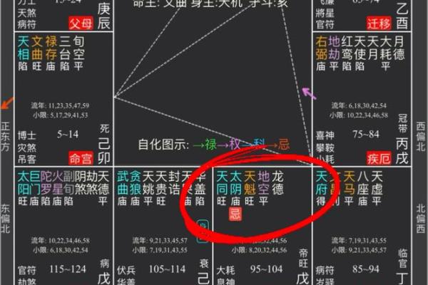 2025年3月29日丑时男命紫微斗数全解盘