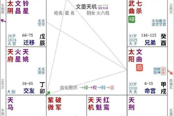 2025年2月17日寅时女命紫微斗数全解盘