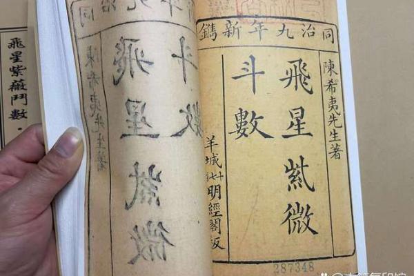 飞星紫微斗数_飞星紫微斗数顾祥弘简体版