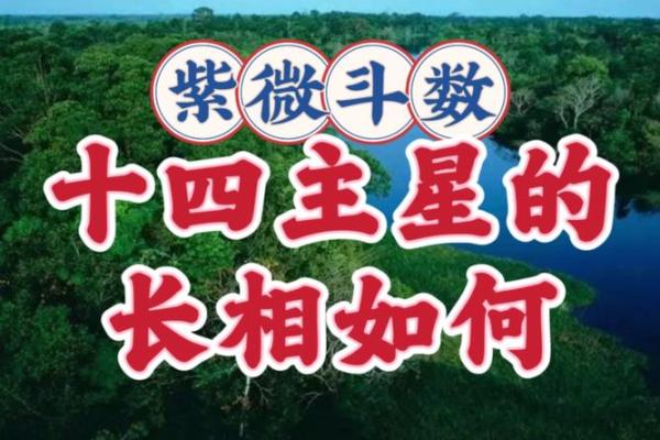 陈小飞紫微斗数_陈小飞紫微斗数课程原价多少钱 陈小飞紫微斗数_陈小飞紫微斗数课程原价多少钱