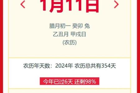 2025年11月11日农历是多少