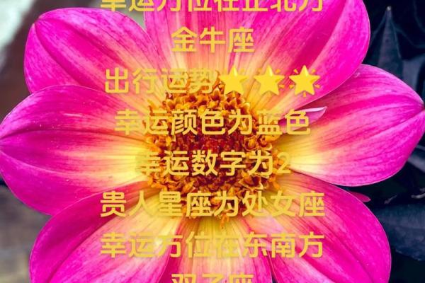 白羊座的永久幸运数字(2021白羊座的永久幸运数字)