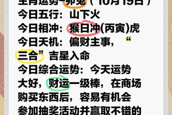 2026年属兔人的全年运势_2026年属兔人全年运势详解财运事业爱情全解析