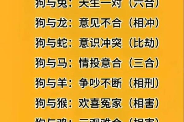 2022年40岁属什么生肖 虎年生肖狗的运程解析 2022年40岁属什么生肖 虎年生肖狗的运程解析