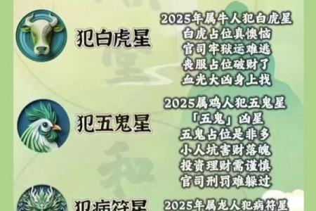 2020年犯太岁的4大生肖 鼠年太岁命属相