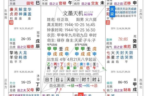 2025年4月12日卯时男命紫微斗数全解盘