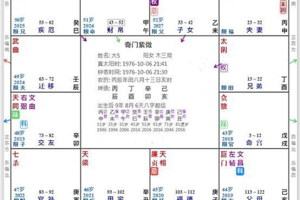 2025年4月10日子时男命紫微斗数全解盘