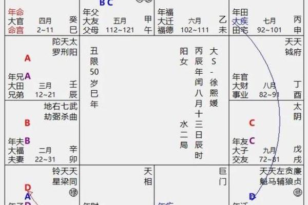 2025年4月27日亥时男命紫微斗数全解盘