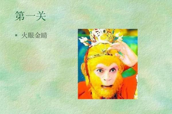 火眼金睛打一准确生肖(火眼金睛打一准确生肖什么数字)