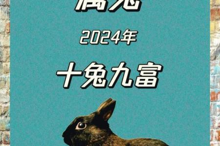 十兔九富的出生月份(十兔九富的出生月份是哪些)