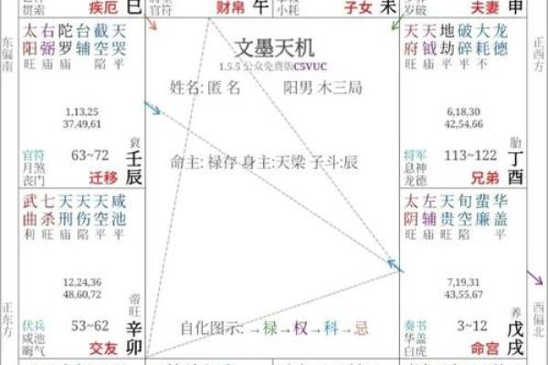 2025年4月20日卯时女命紫微斗数全解盘