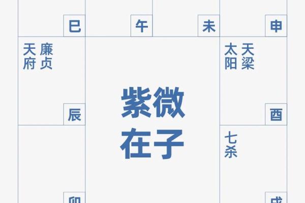 2025年4月30日子时男命紫微斗数全解盘