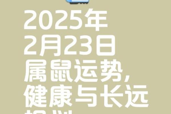 2025年属鼠人的全年运势