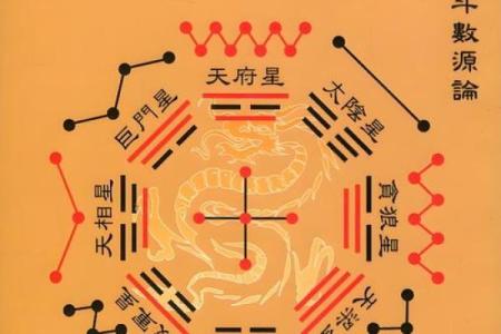 2025年4月16日申时女命紫微斗数全解盘