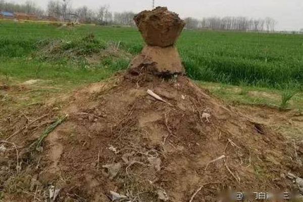 土窝里不能动土