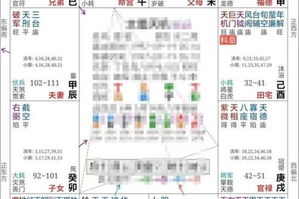 2025年4月5日卯时男命紫微斗数全解盘