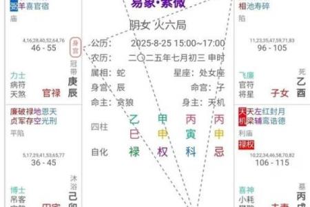 2025年4月28日午时女命紫微斗数全解盘