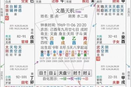 2025年4月5日巳时女命紫微斗数全解盘