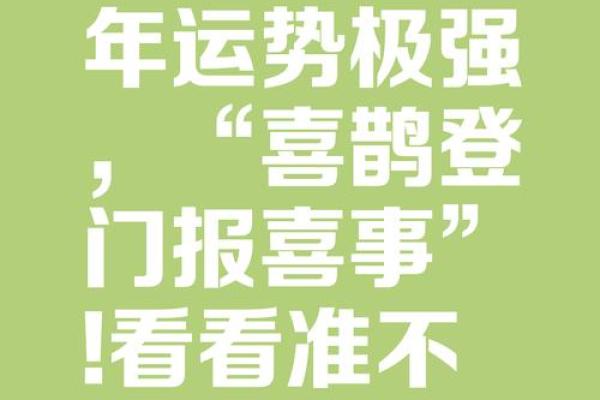攀高枝儿是什么生肖(攀高枝儿是什么生肖,已答解析落实蛇) 攀高枝儿是什么生肖(攀高枝儿是什么生肖,已答解析落实蛇)