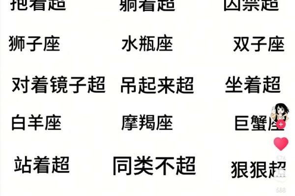 十二星座运势分析_十二星座运势完整版